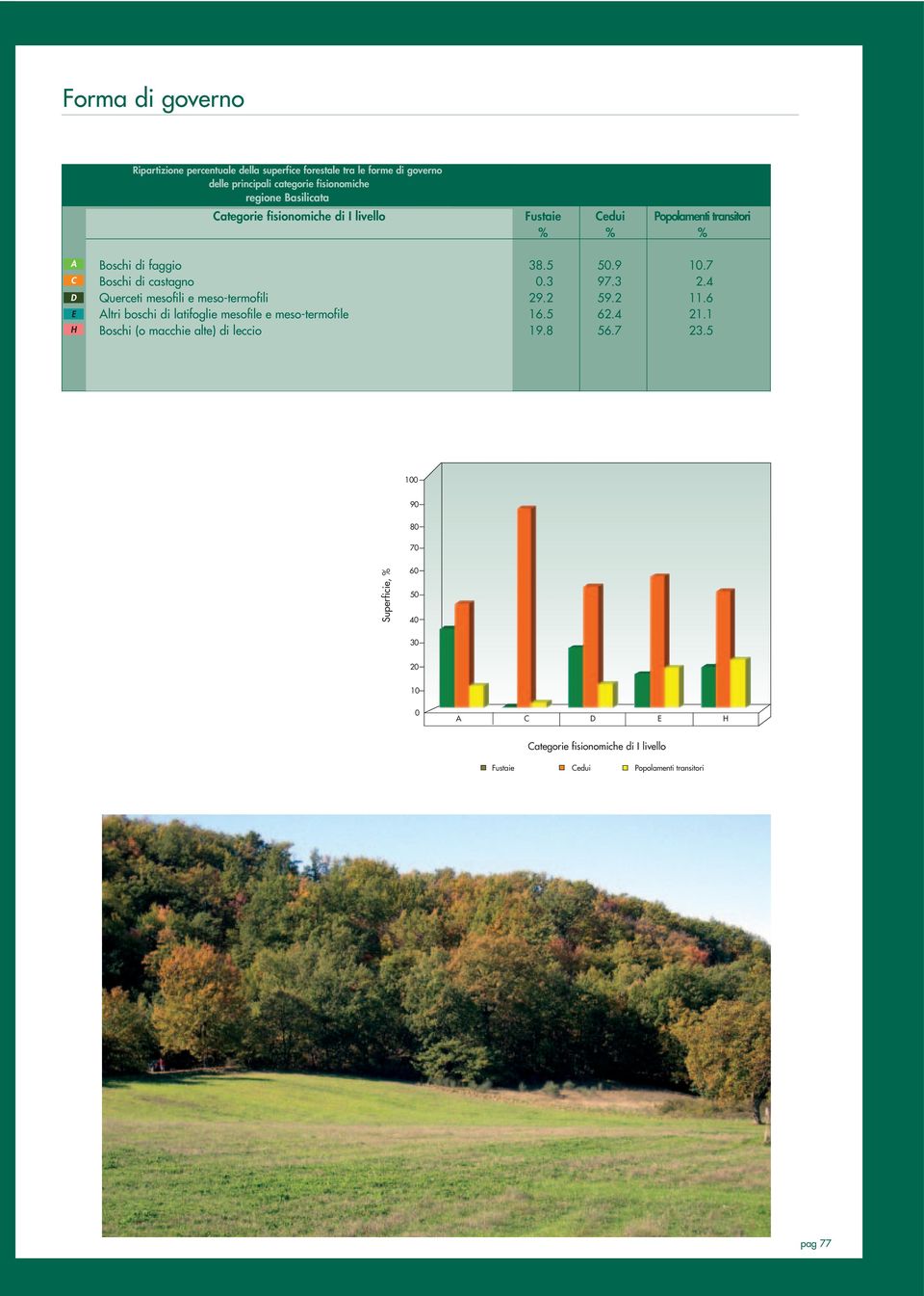 mesofili e meso-termofili Altri boschi di latifoglie mesofile e meso-termofile Boschi (o macchie alte) di leccio 38.5 0.3 29.2 16.5 19.8 50.9 97.3 59.2 62.