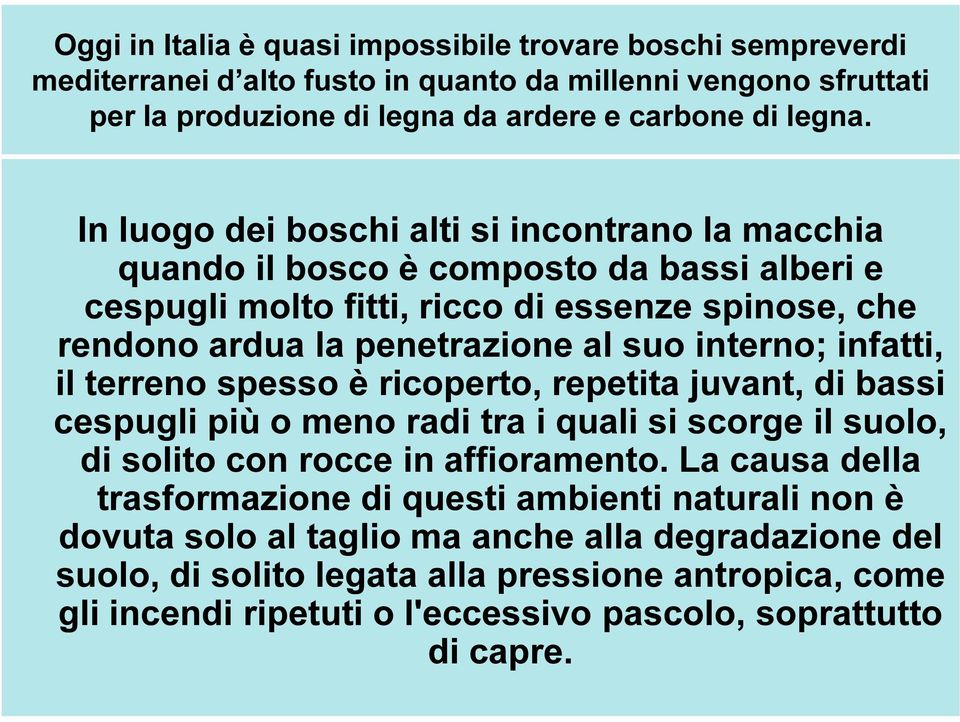 infatti, il terreno spesso è ricoperto, repetita juvant, di bassi cespugli più o meno radi tra i quali si scorge il suolo, di solito con rocce in affioramento.