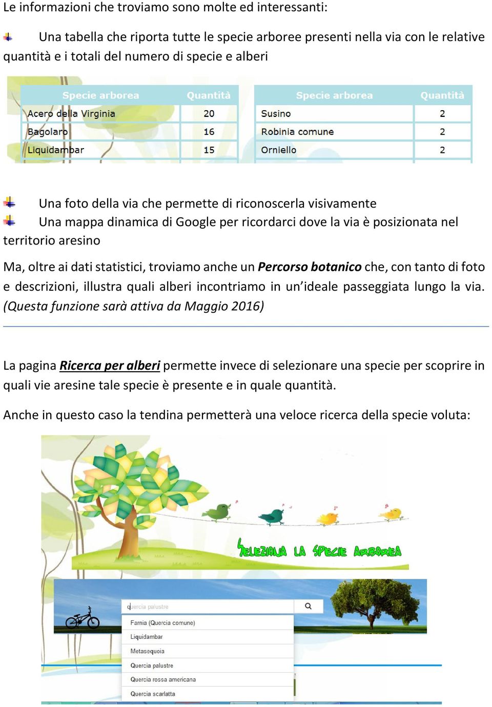 Percorso botanico che, con tanto di foto e descrizioni, illustra quali alberi incontriamo in un ideale passeggiata lungo la via.