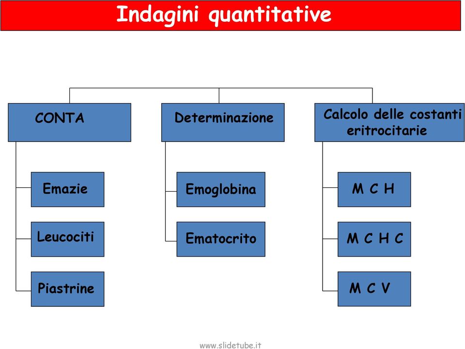 costanti eritrocitarie Emazie