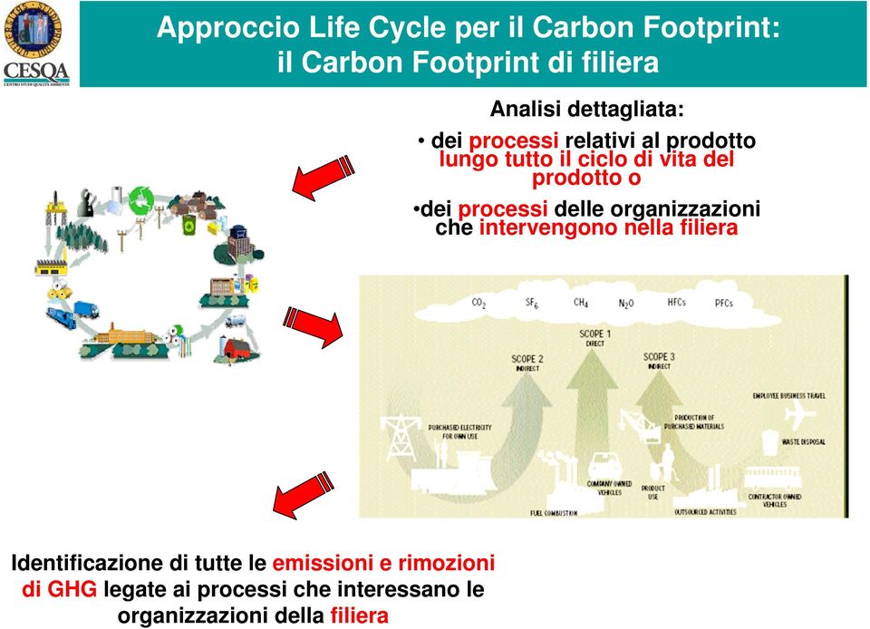 dei processi delle organizzazioni che intervengono nella filiera Identificazione di tutte