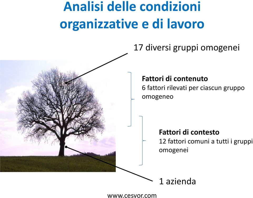 rilevatiper ciascun gruppo omogeneo Fattori di