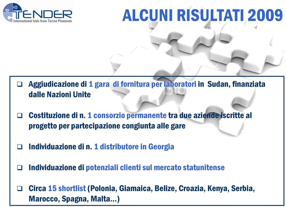 1 consorzio permanente tra due aziende iscritte al progetto per partecipazione congiunta alle gare