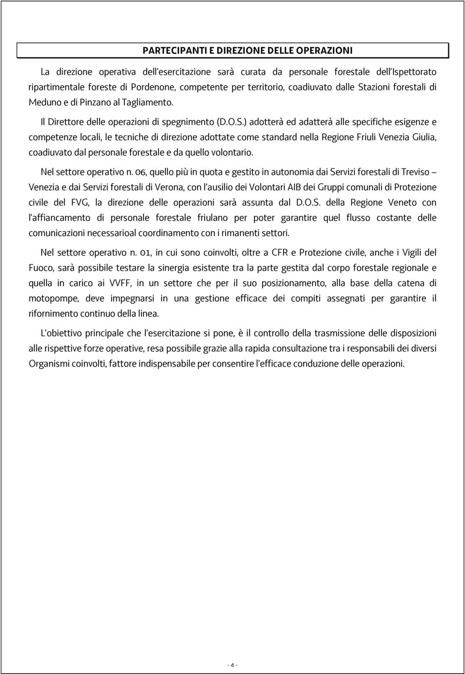 azioni forestali di Meduno e di Pinzano al Tagliamento. Il Direttore delle operazioni di spegnimento (D.O.S.