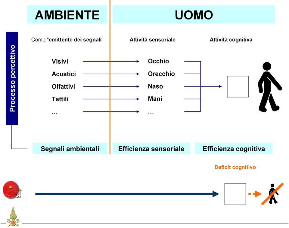 Acustici Olfattivi Tattili Occhio Orecchio Naso Mani