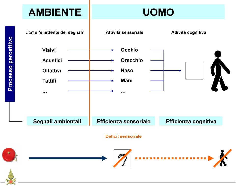 Acustici Olfattivi Tattili Occhio Orecchio Naso Mani