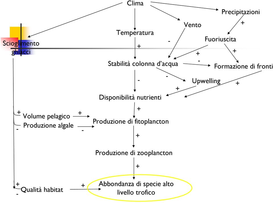 fitoplancton Produzione di zooplancton Abbondanza di specie alto livello trofico - +