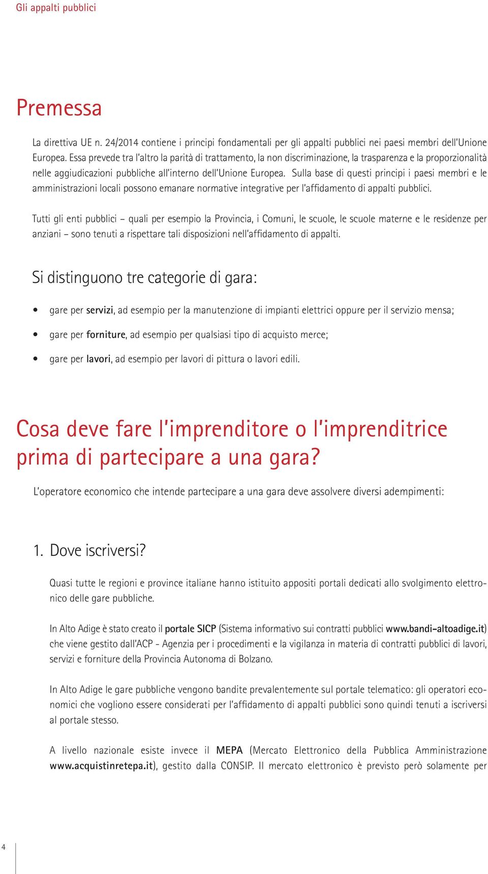 Sulla base di questi principi i paesi membri e le amministrazioni locali possono emanare normative integrative per l affidamento di appalti pubblici.