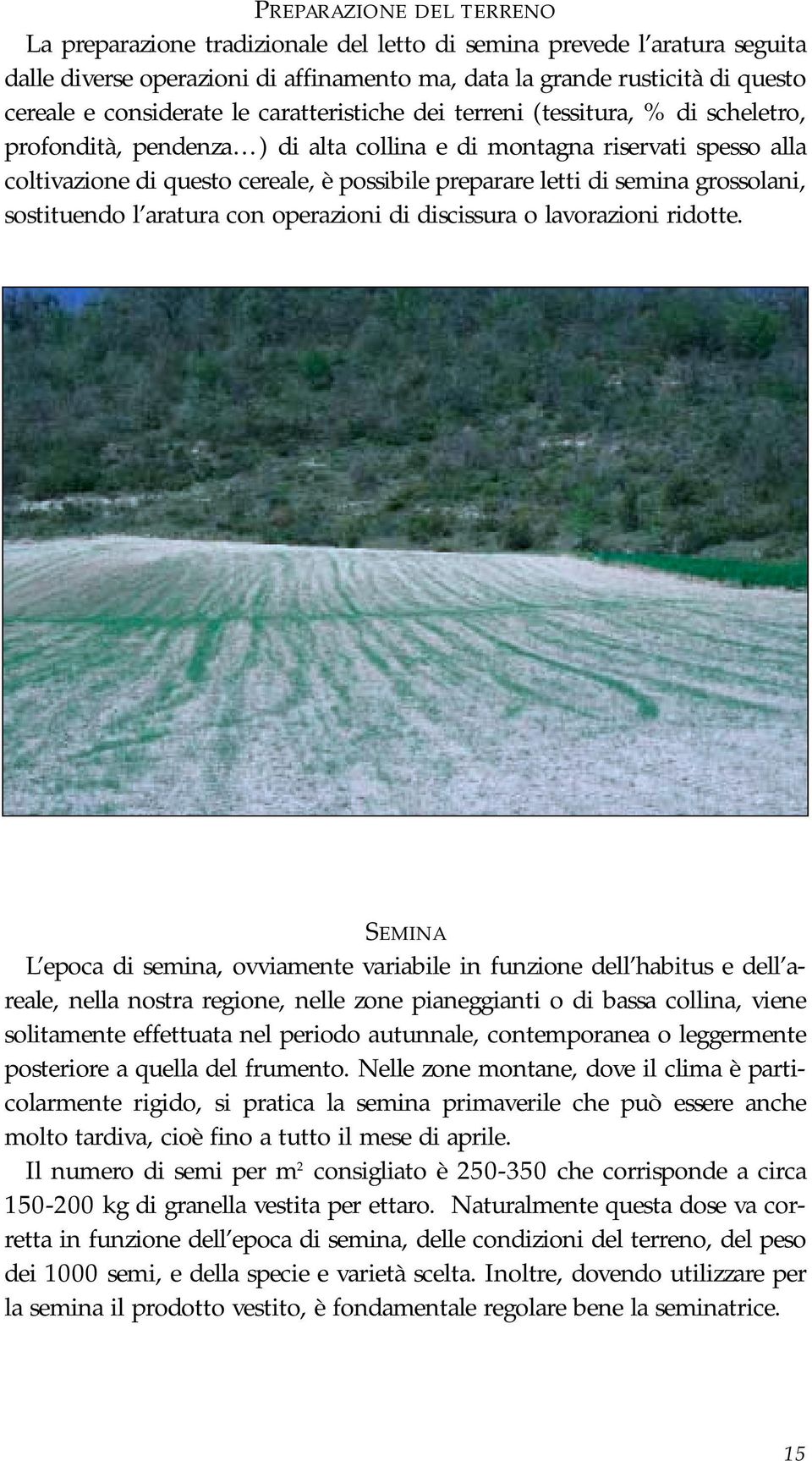 letti di semina grossolani, sostituendo l aratura con operazioni di discissura o lavorazioni ridotte.