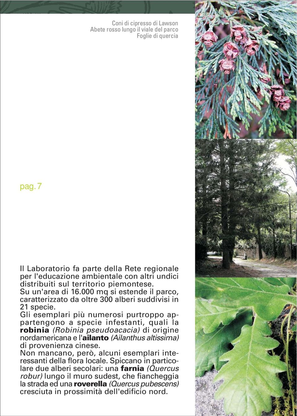 000 mq si estende il parco, caratterizzato da oltre 300 alberi suddivisi in 21 specie.