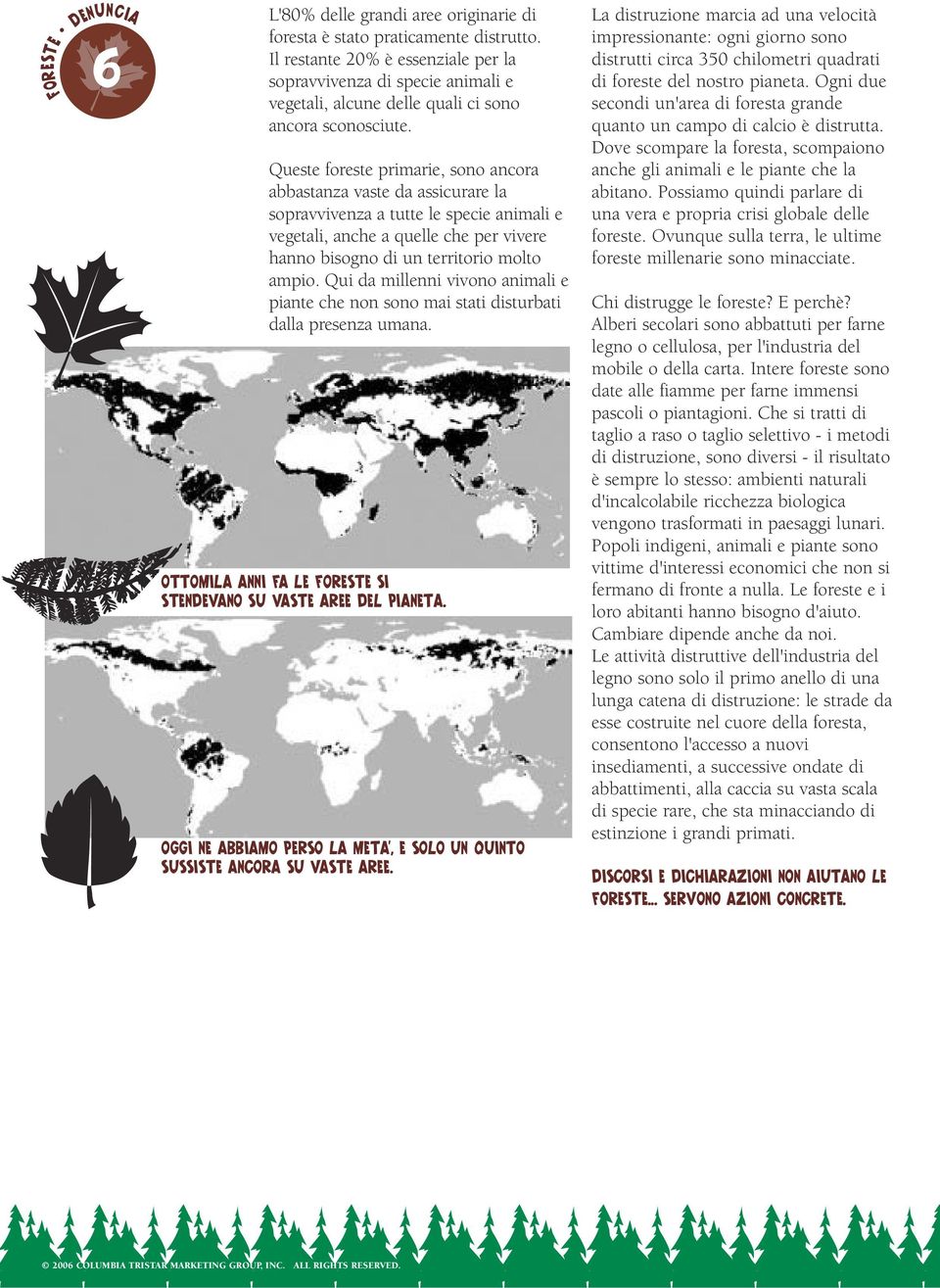 Queste foreste primarie, sono ancora abbastanza vaste da assicurare la sopravvivenza a tutte le specie animali e vegetali, anche a quelle che per vivere hanno bisogno di un territorio molto ampio.