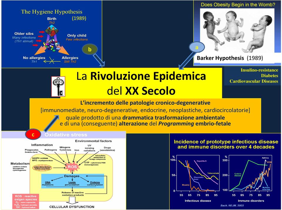 cardiocircolatorie] quale prodotto di una drammatica trasformazione ambientale e di una