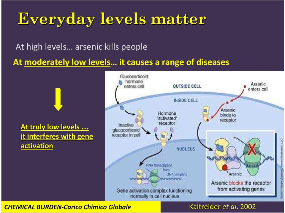 diseases At truly low levels it interferes with gene