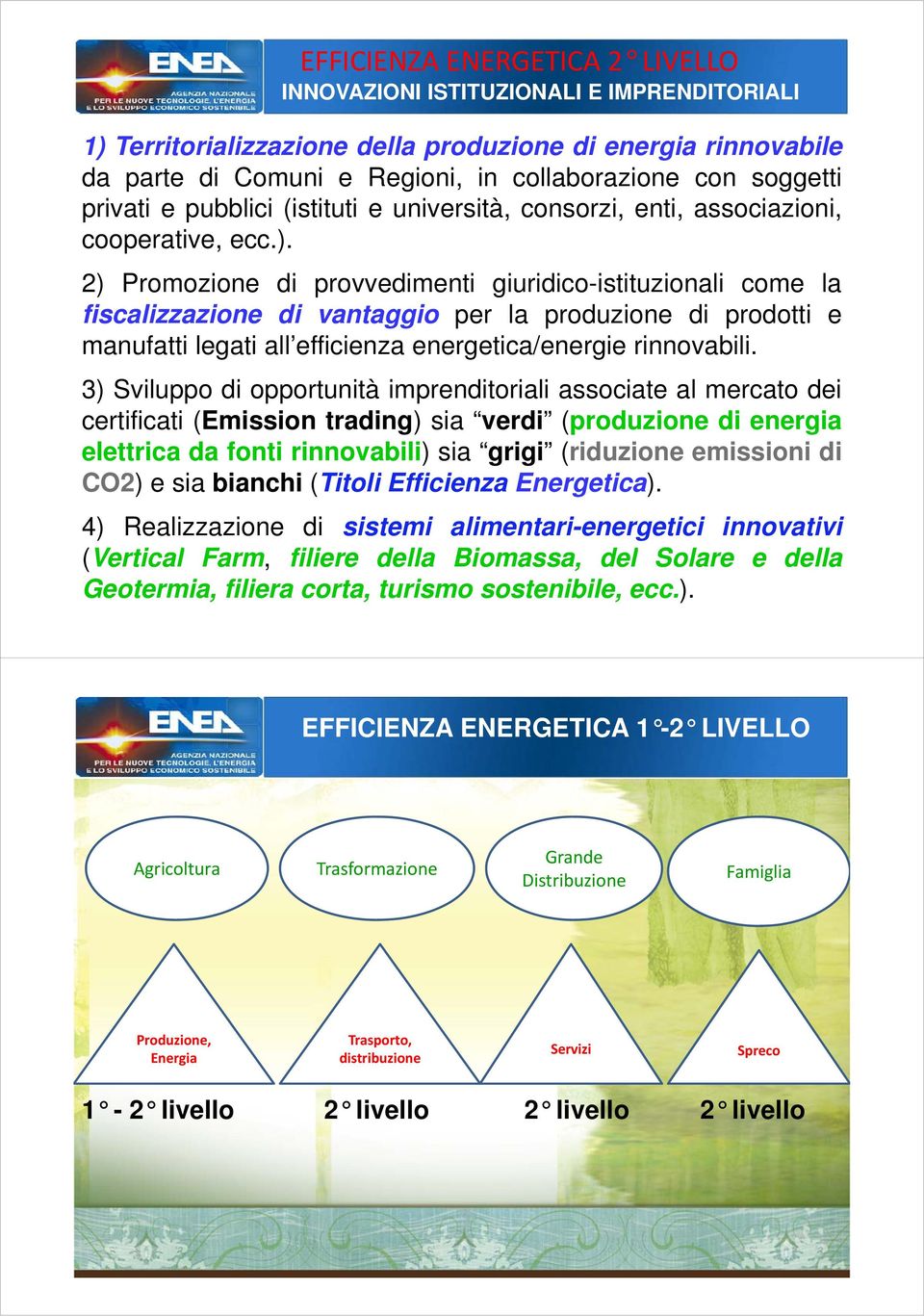 2) Promozione di provvedimenti giuridico-istituzionali come la fiscalizzazione di vantaggio per la produzione di prodotti e manufatti legati all efficienza energetica/energie rinnovabili.