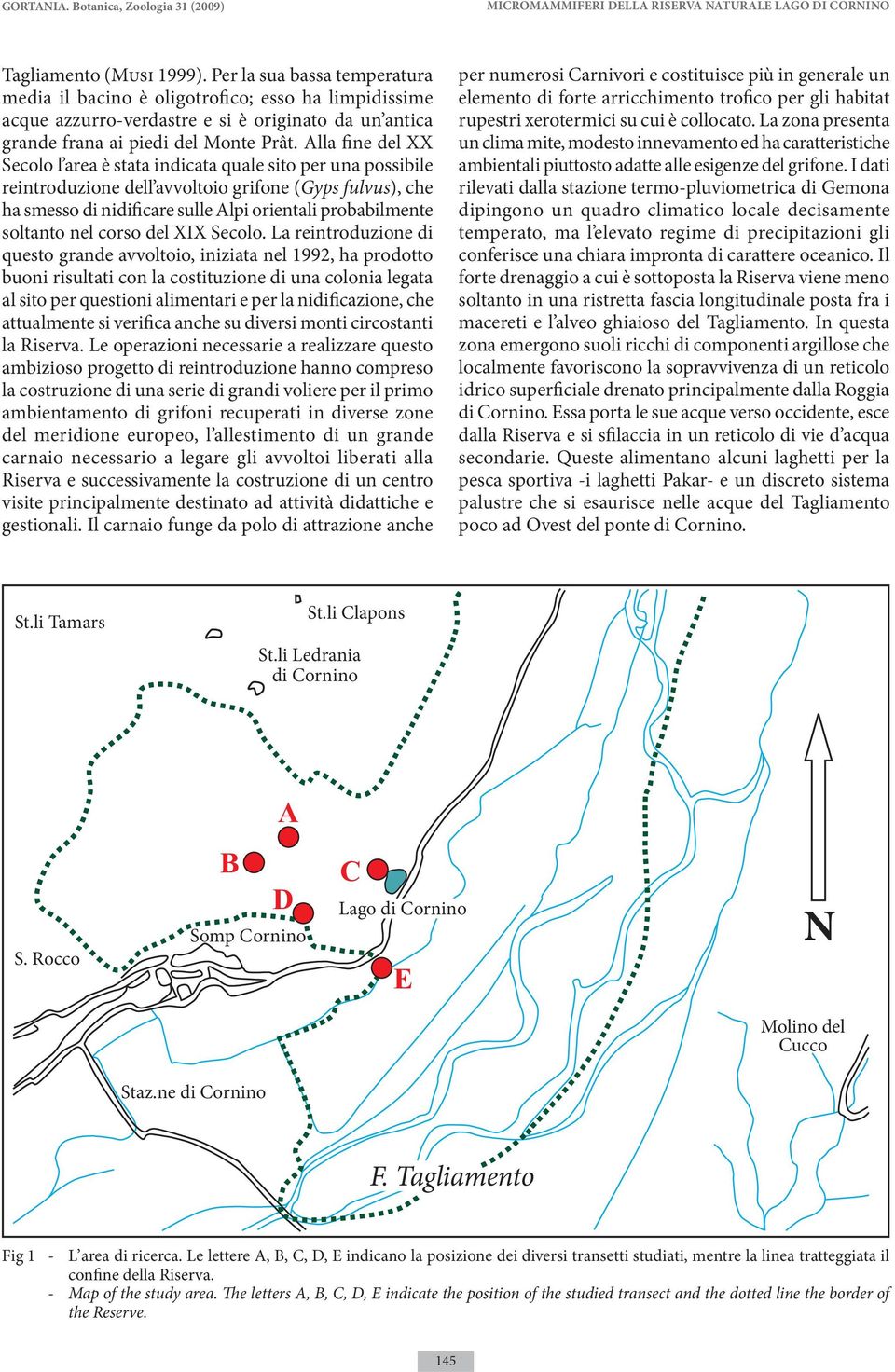 Alla fine del XX Secolo l area è stata indicata quale sito per una possibile reintroduzione dell avvoltoio grifone (Gyps fulvus), che ha smesso di nidificare sulle Alpi orientali probabilmente