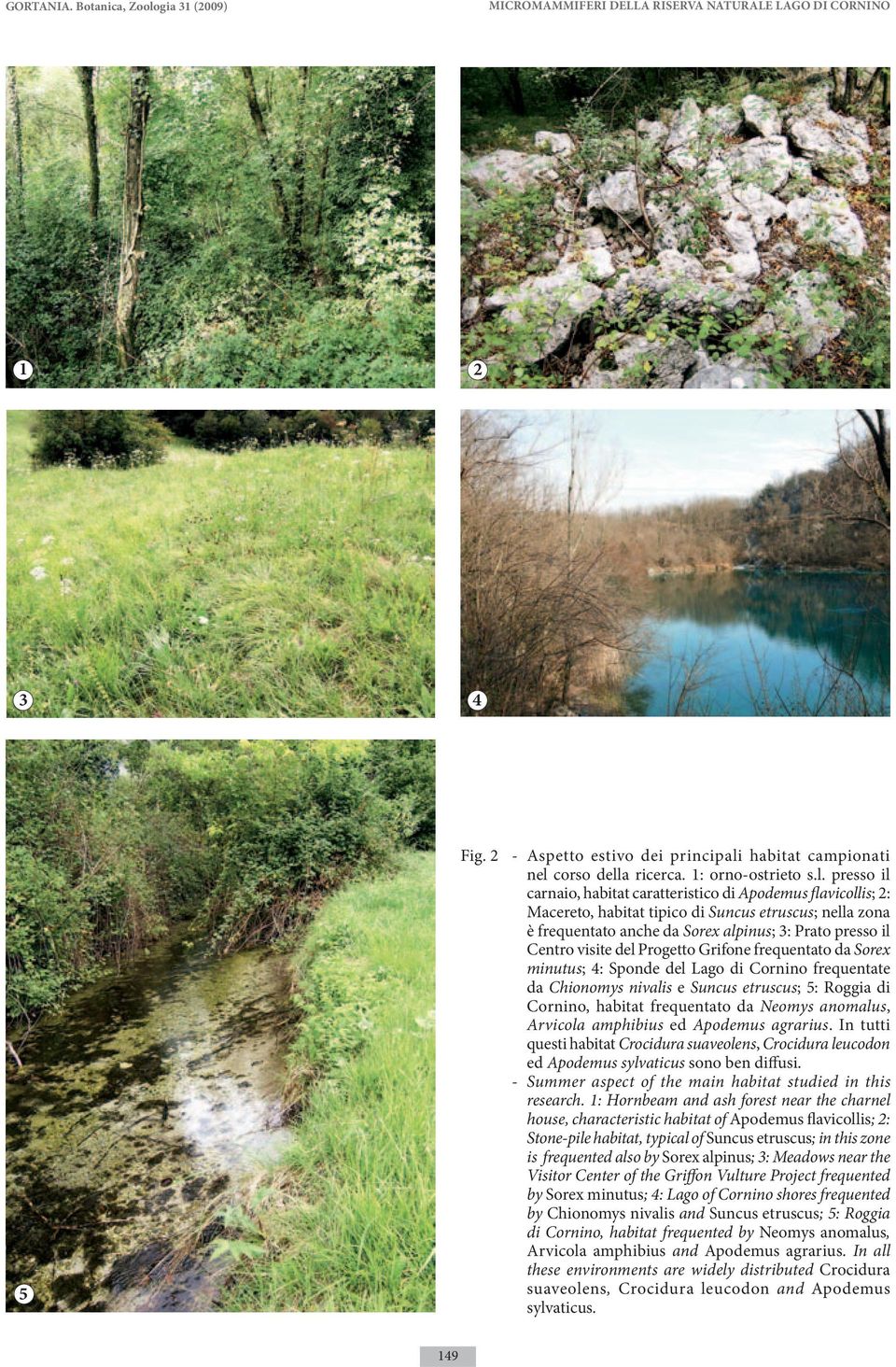 presso il carnaio, habitat caratteristico di Apodemus flavicollis; 2: Macereto, habitat tipico di Suncus etruscus; nella zona è frequentato anche da Sorex alpinus; 3: Prato presso il Centro visite