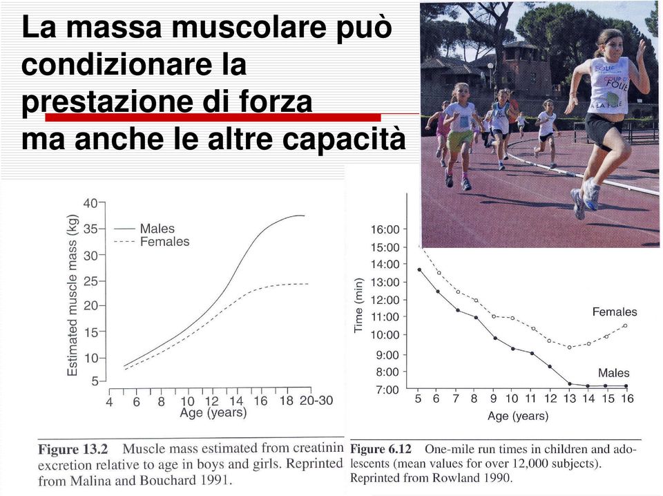 prestazione di forza