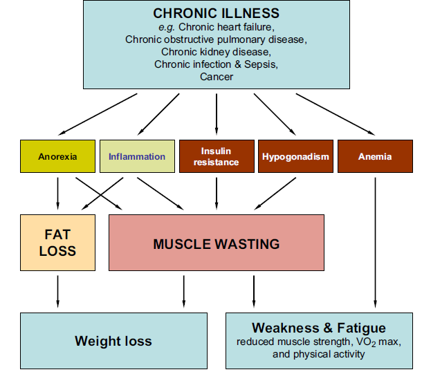 Conceptual representation of the cachexia definition: Cachexia results from