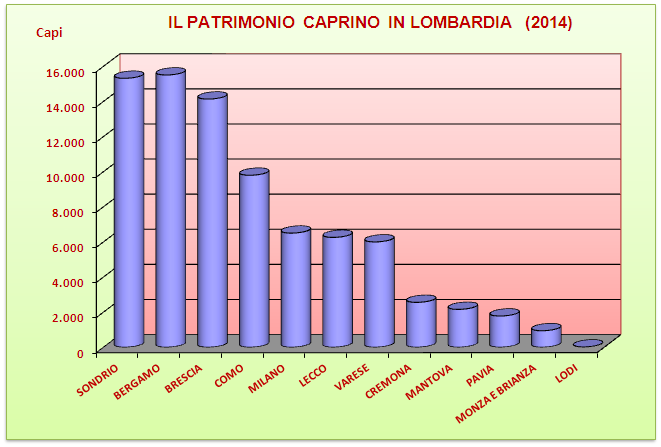 IL MERCATO DELLE CARNI: