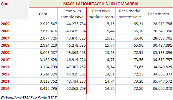 IL MERCATO