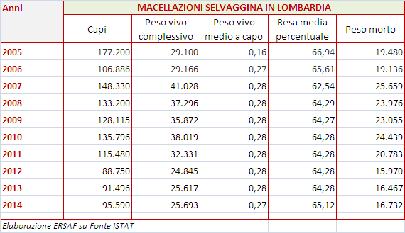 IL MERCATO