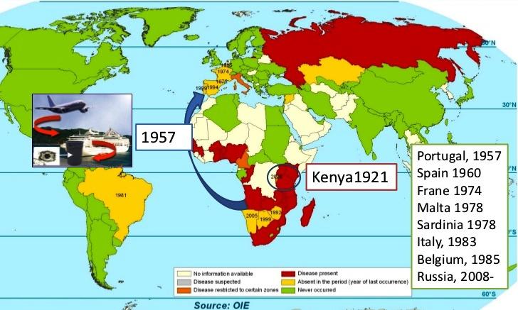 1978 Arriva la PSA in Sardegna e si diffonde grazie alla pratica di alimentare i suini con rifiuti di cucina contaminati Da allora, nonostante i