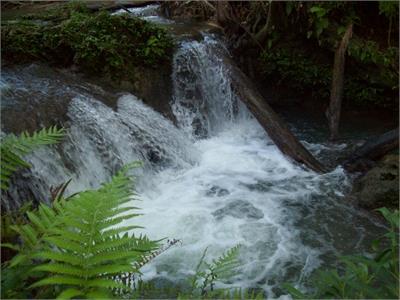 ESCURSIONE GUIDATA A PIEDI: EL MURMULLO DE LOS RIOS Sentieri tranquilli che attraversa boschi circondati dalle limpide acque del fiume Ancon.