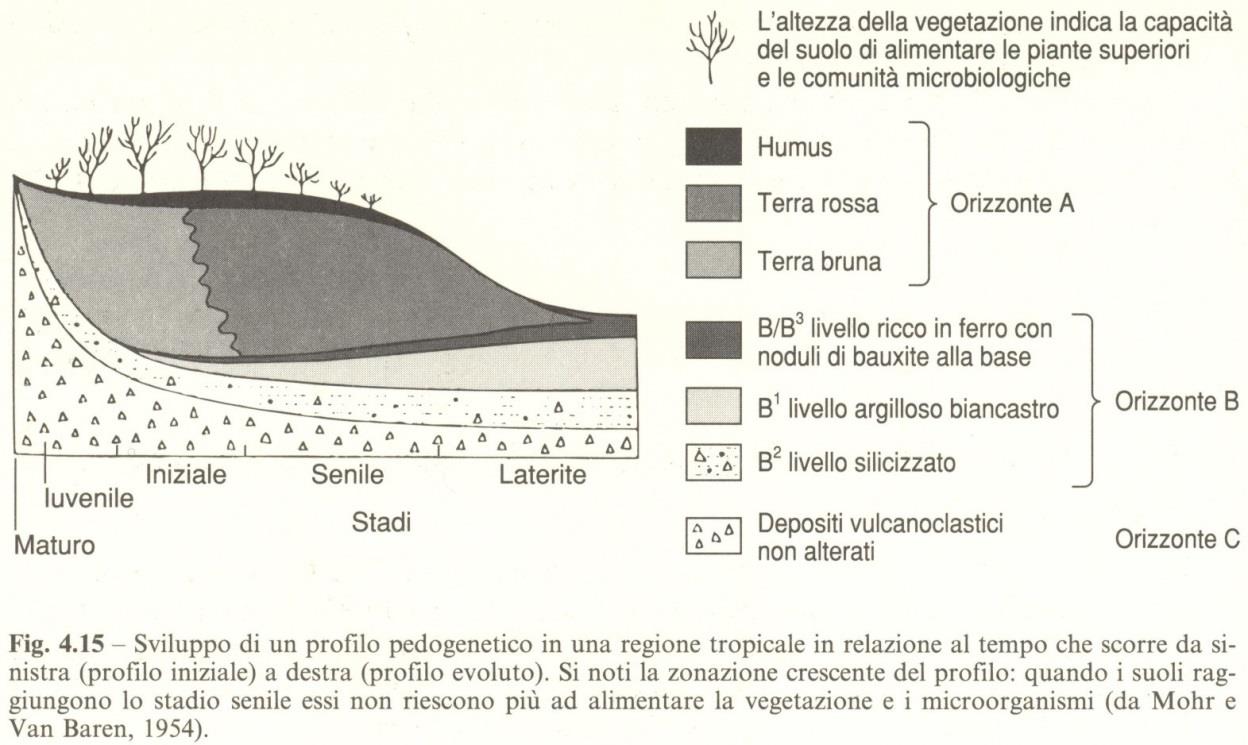 Rocce residuali Quando processi di degradazione di rocce cristalline o sedimentarie avvengono con grande velocità per particolari condizioni climatiche (di norma alle latitudini mediobasse), i