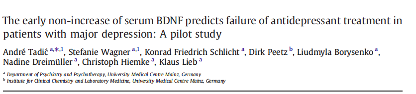Secondo il presente studio, modificazioni o mancate modificazioni precoci nei livelli di BDNF sierico possono essere predittivi della risposta o della non-risposta alla terapia nei pazienti con DDM.