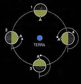 I movimenti della Luna La Luna ruota su sé stessa intorno al proprio asse, moto di rotazione, da ovest verso est.