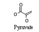 Alterazione della rete biologica della vite nel interazione col fitoplasma Biosynthesis of alkaloids and plant hormones (auxin, SA) Metabolism of phenyl-propanoids Isoflavone reductase Chalcone