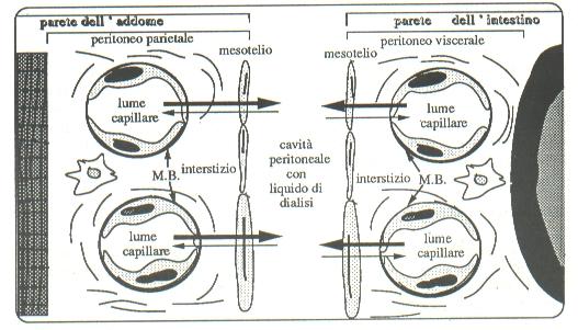 Rappresentazione schematica