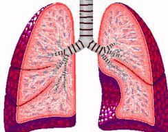 Ipertensione Patologie respiratorie Asma BPCO Patologie oncologiche Carcinoma mammario Carcinoma