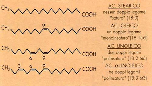 A seconda della distanza dal metile del primo doppio legame vengono distinte tre serie di acidi grassi insaturi che vengono denominati w9, w6, w3 (o anche n-9, n-6, n-3).