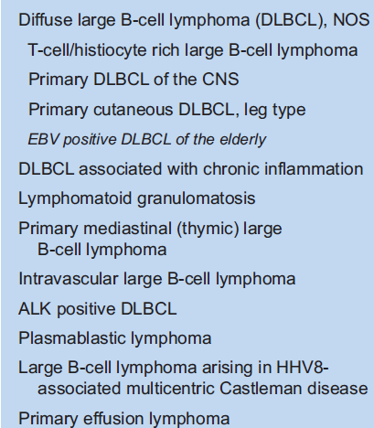 !) di questo linfoma Essi differiscono per una serie di parametri (caratteristiche morfologiche, fenotipiche, correlazione a stati morbosi, associazione a infezioni virali, etc.
