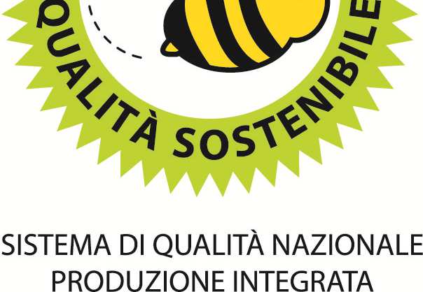 disciplinari di qualità superiore zootecnica difesa Disciplinari regionali tecniche agronomiche Disciplinari Regione Veneto Vitellone ai cereali Vitello latte e cereali Coniglio al fieno