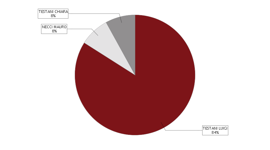 Il grafico a torta e la tabella sottostante rappresentano una sintesi della composizione societaria dell'impresa (le quote di proprietà sono sommate per titolare e poi arrotondate).