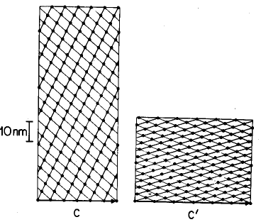 TRASFORMAZIONE MARTENSITICA IN VIVO Olson and Hartman, 1982, Martensite and life : displacive transformations as biological