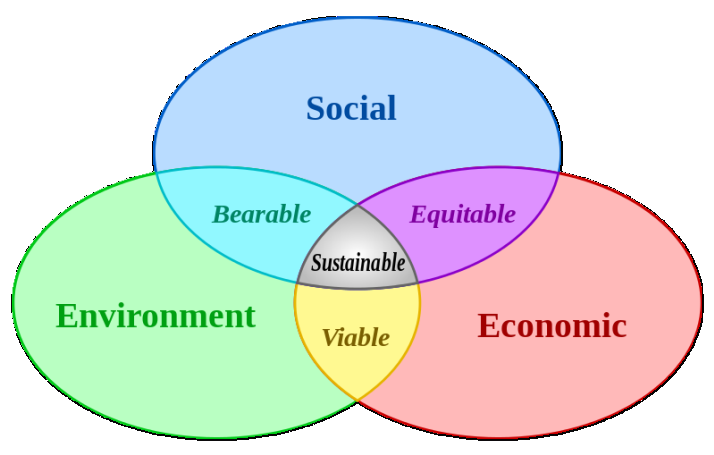 IL CONCETTO DISOSTENIBILITA La sostenibilità di cui oggi si parla è soprattutto di tipo ambientale, quella di tipo economico si fonda sul bilancio economico aziendale e sui costi di produzione,