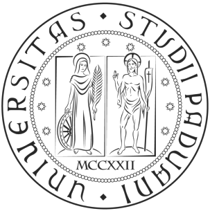 UNIVERSITÀ DEGLI STUDI DI PADOVA Dipartimento di Studi Linguistici e Letterari Corso di Laurea magistrale in Strategie di Comunicazione TESI DI LAUREA ITALIA