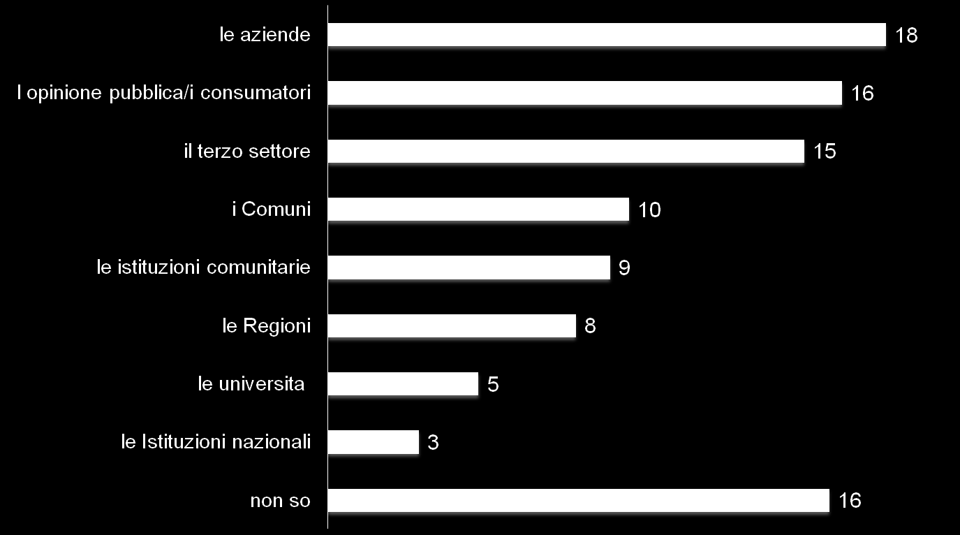 Promotori della CSR Secondo lei in Italia chi si sta impegnando di più per l