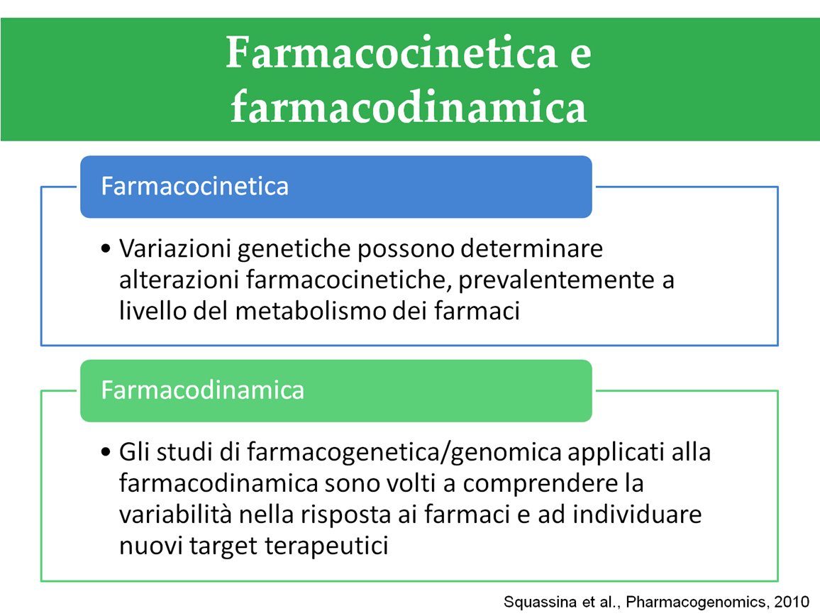 I processi che si verificano all interno dell organismo dopo la somministrazione di un farmaco (farmacocinetica) e le interazioni tra il farmaco e il suo