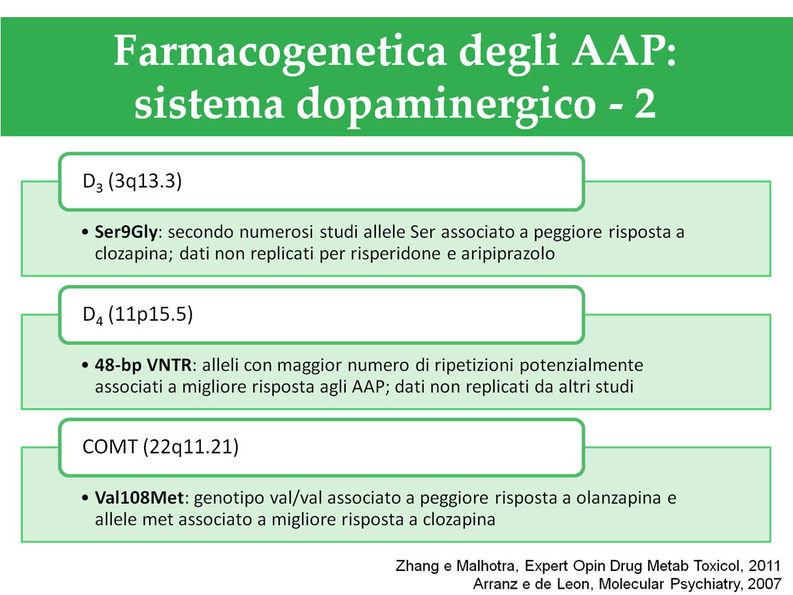 Il recettore D 3 della dopamina è preferenzialmente espresso nel sistema limbico e nei gangli basali, regioni cerebrali coinvolte in funzioni cognitive, emotive e motorie.