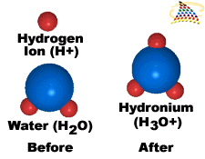 Strutture secondo Lewis La formula e la connettività tra atomi deve essere nota Esempio: H 2 : 6e-; H: 1e-; H: 1e-.. H--H.