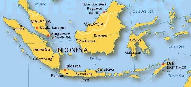 L Indonesia e la Malesia sono le principali produttrici al mondo di olio di palma.