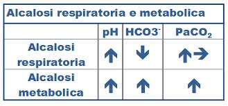 diminuzione della [H+] che sposta l equilibrio verso destra ; diminuzione di [H2CO3] e diminuzione [CO2]