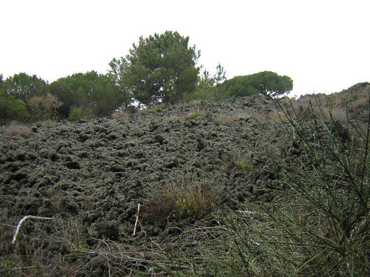 Prodotti Attività vulcanica Prodotti liquidi Le lave a blocchi scoriacei (dette aa, in hawaiano Non ci si può camminare sopra a piedi nudi ) hanno aspetto spugnoso e sono costituite da blocchi con