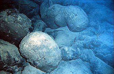 Prodotti Attività vulcanica Prodotti liquidi Le lave a cuscino (pillow lavas) si formano quando lave basaltiche o andesitiche vengono effuse in mare profondo.