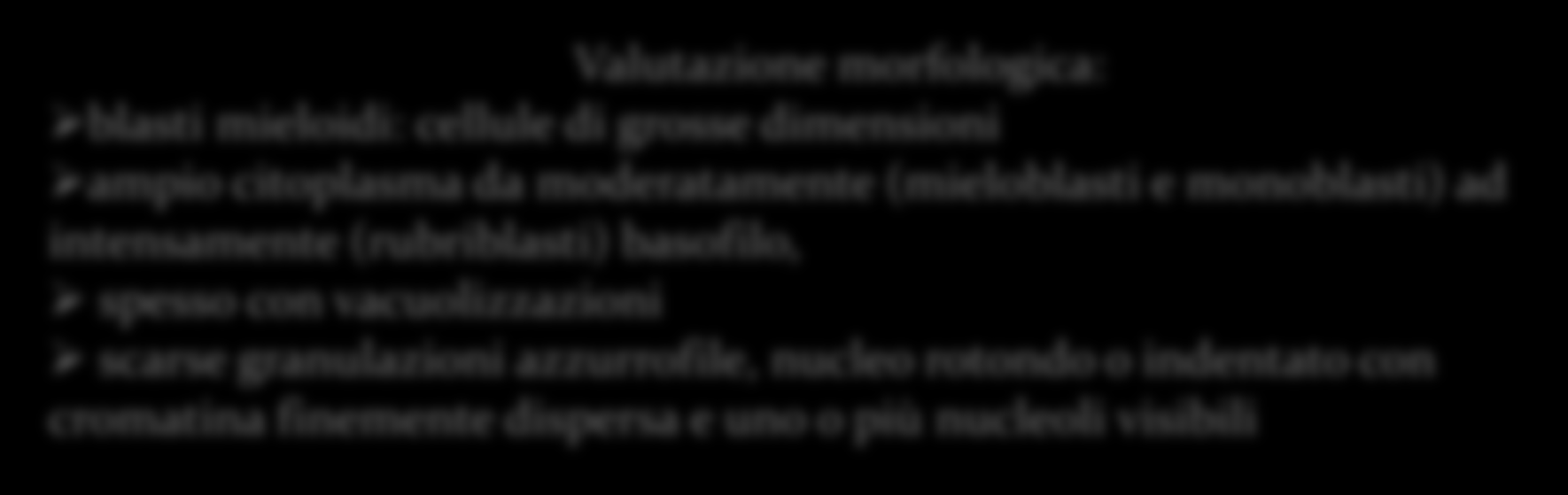 Valutazione morfologica: blasti mieloidi: cellule di grosse dimensioni ampio citoplasma da moderatamente (mieloblasti e monoblasti) ad intensamente (rubriblasti) basofilo, spesso con