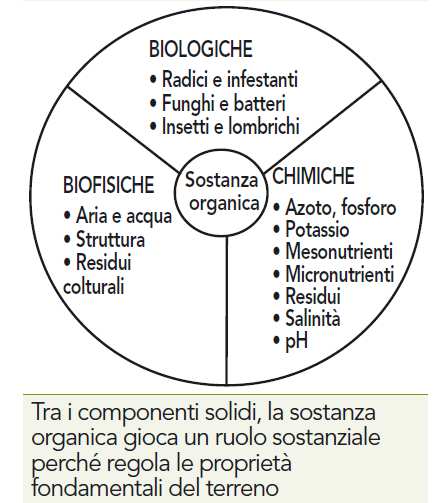 Sostanza organica 1-3% in peso 12-13% 13% in volume